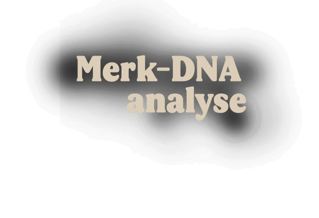 v1-appart-visuals-dna-analyse_tekst.png